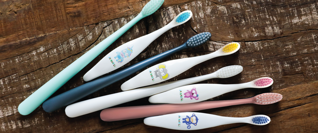 All You Need to Know about Zero-Waste Toothbrushes
